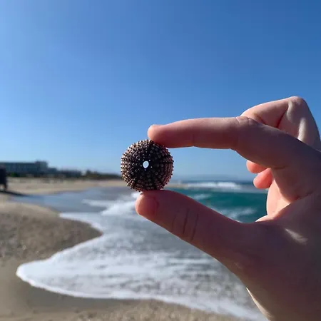 Khroma Luxury 1 Front *