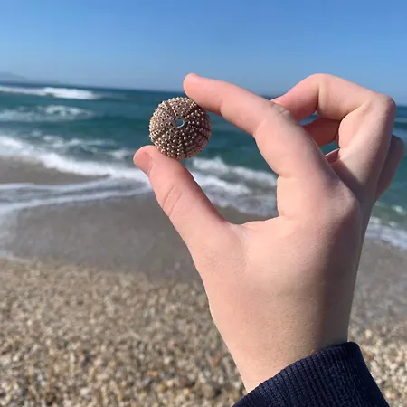 Khroma Luxury 1 Front דירה *