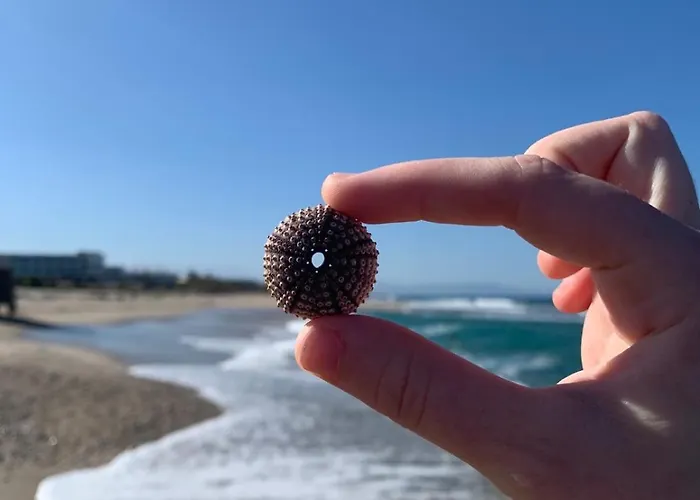 Khroma Luxury 1 Front *